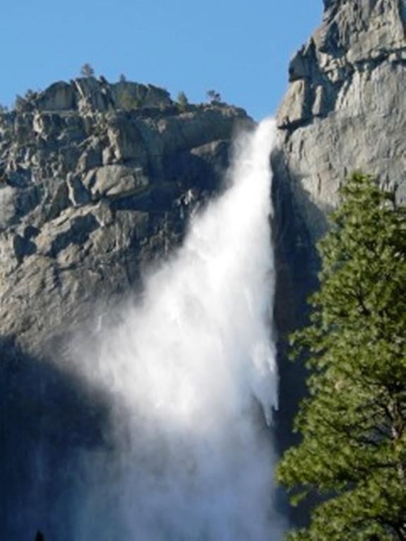 Yosemite Condominium Yosemite West Eksteriør bilde