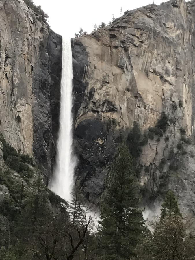 Yosemite Condominium Yosemite West Eksteriør bilde