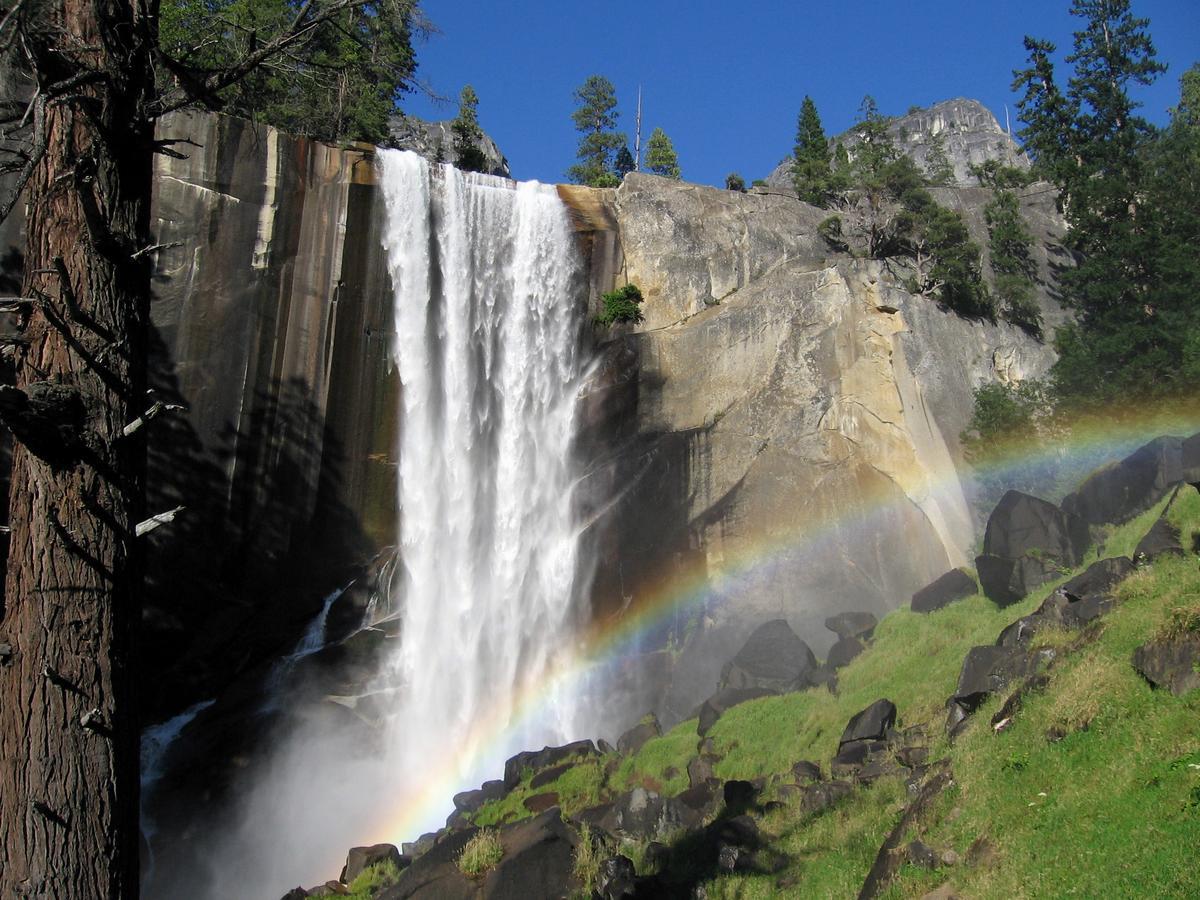 Yosemite Condominium Yosemite West Eksteriør bilde